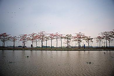 恐怖游戏《万手一体》预告 试玩Demo 10月新品节上线